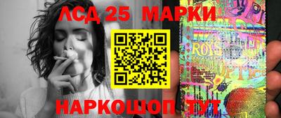спайс Тара