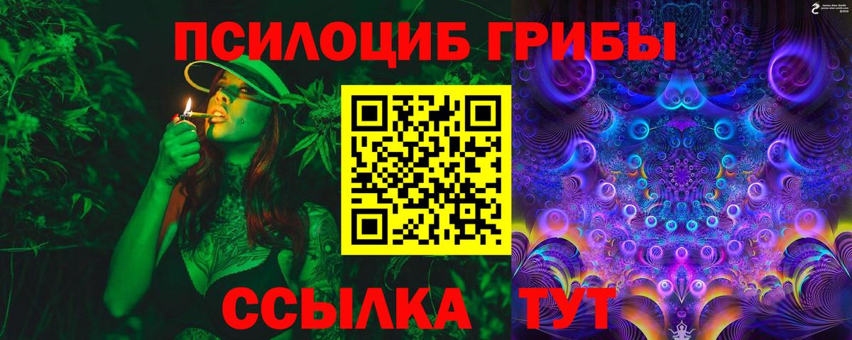 Псилоцибиновые грибы MAGIC MUSHROOMS Новокубанск